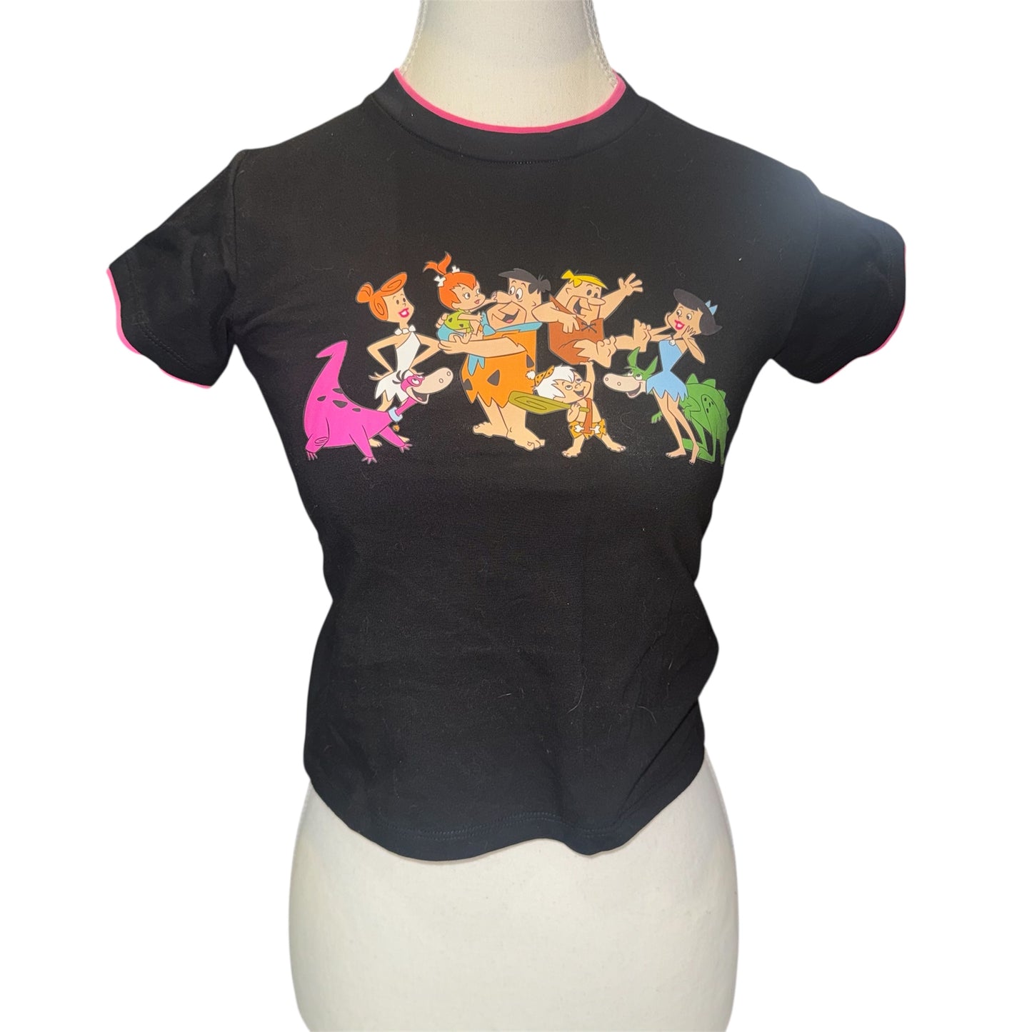 Welcome to bedrock crop top