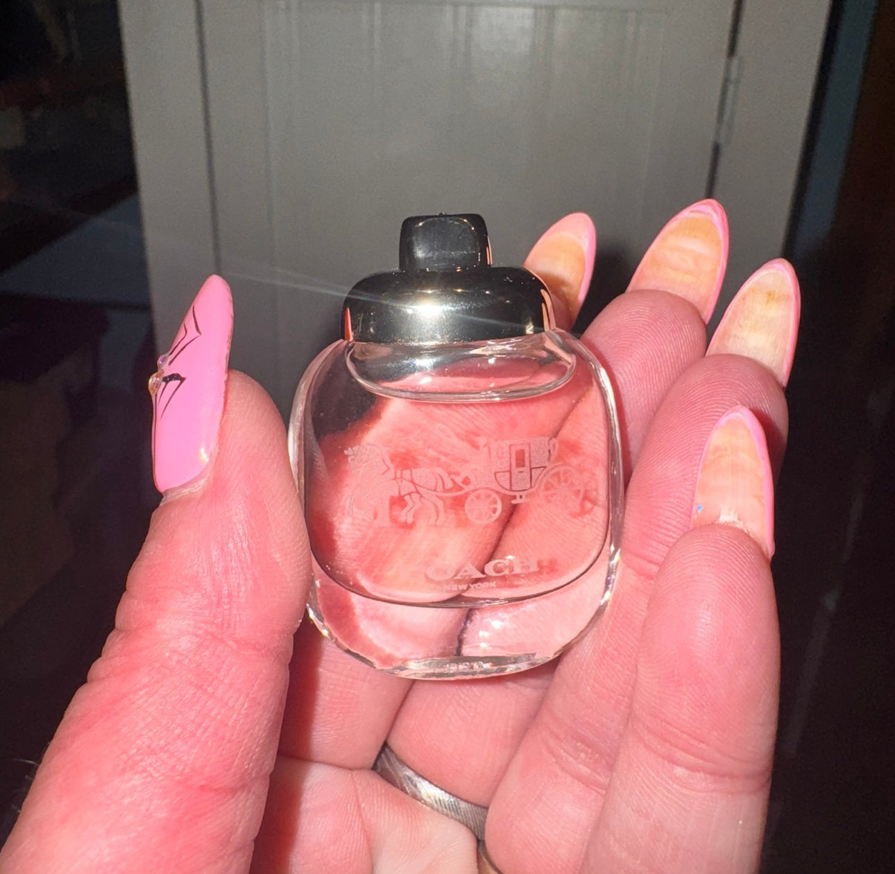 Coach light pink dabber